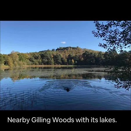 公寓 The Parcel Shed